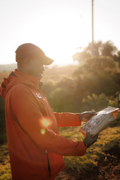 Kenyan Long Run Roast - 1 KG - Morning Miles Coffee